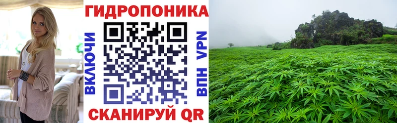 Купить закладки  Кимры  Марихуана сатива 